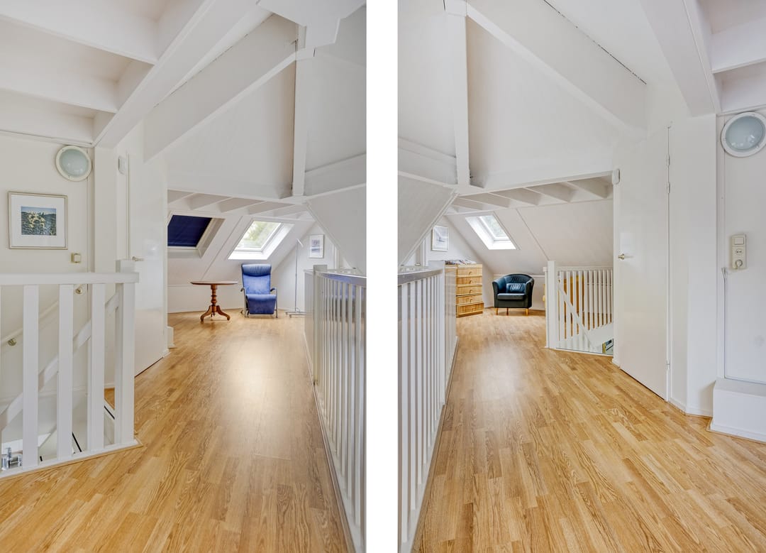 Foto 31 van Meerkoet 11