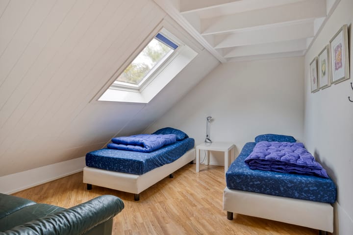 Photo 30 of Meerkoet 11