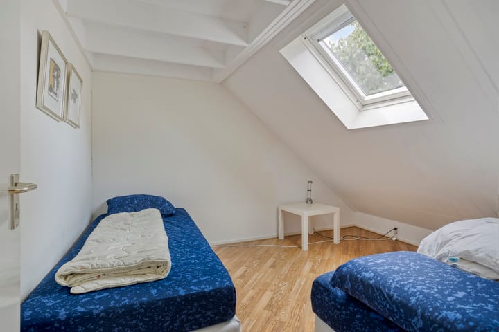 Photo 32 of Meerkoet 11