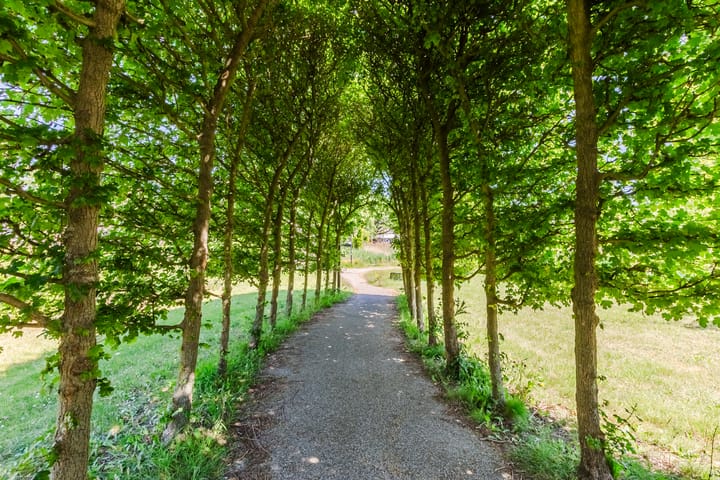 Foto 48 van Lomondlaan 25