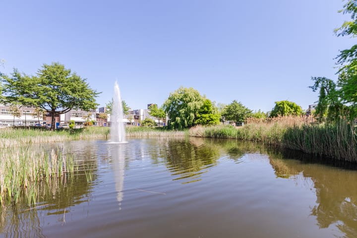 Foto 50 van Lomondlaan 25