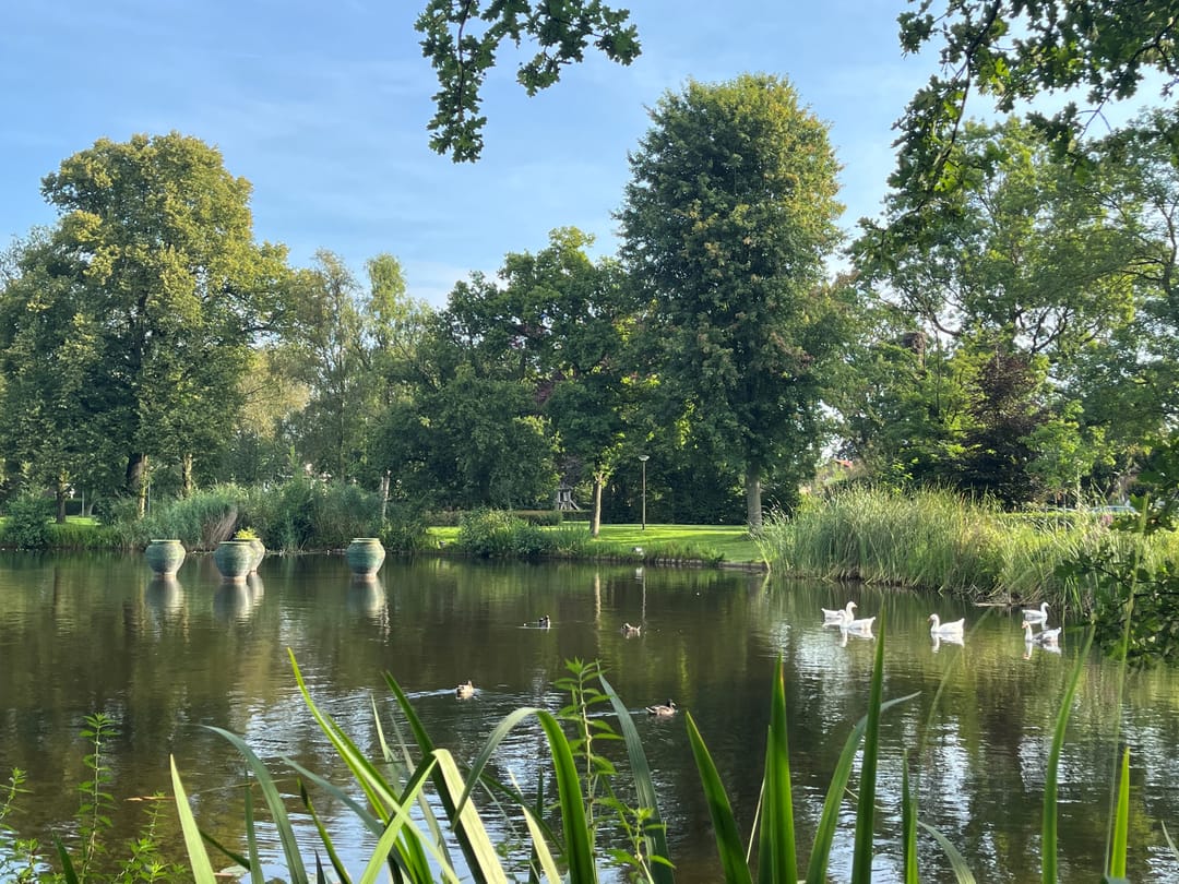 Foto 46 van Parklaan 4