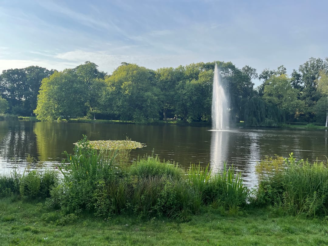 Foto 47 van Parklaan 4