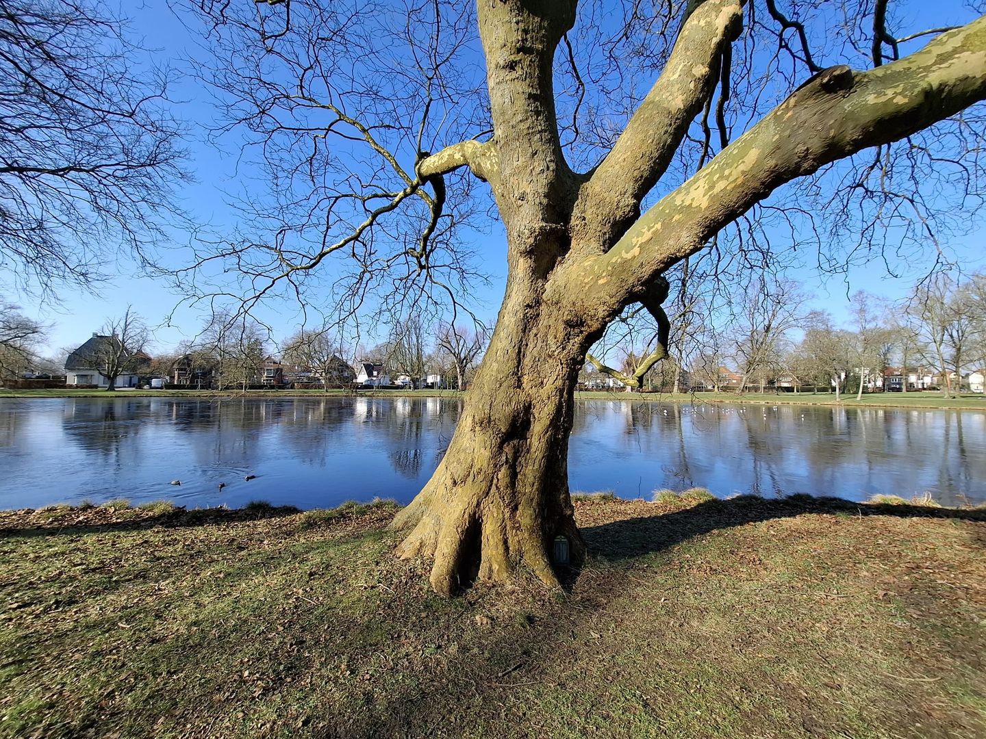 Foto 49 van Parklaan 4