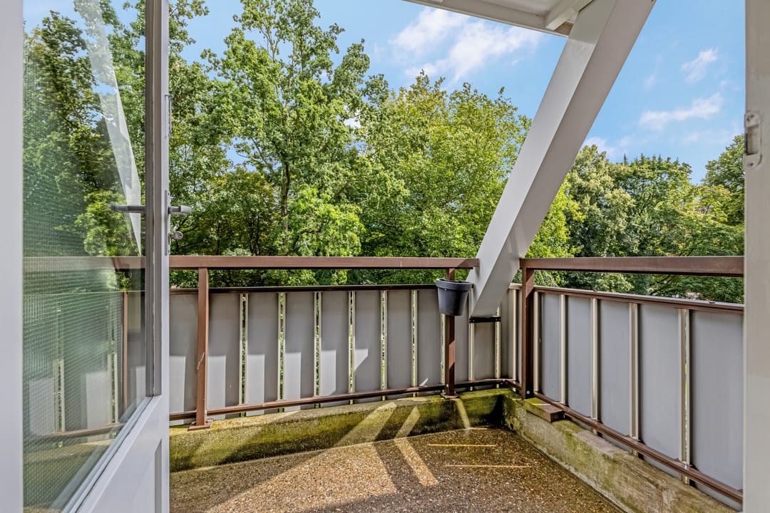 Photo 8 of Waltoren 44