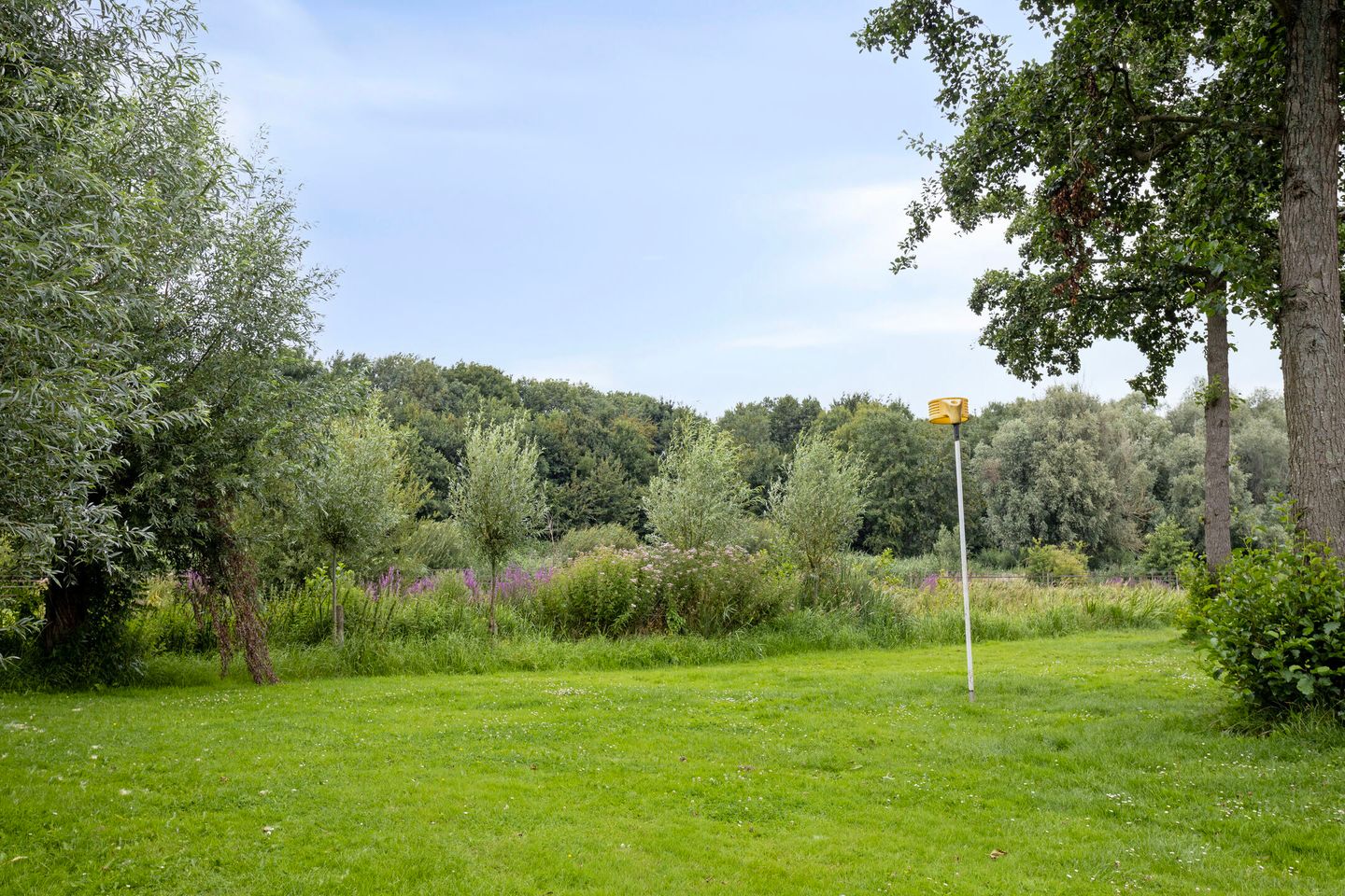 Photo 29 of Veenzoom 47