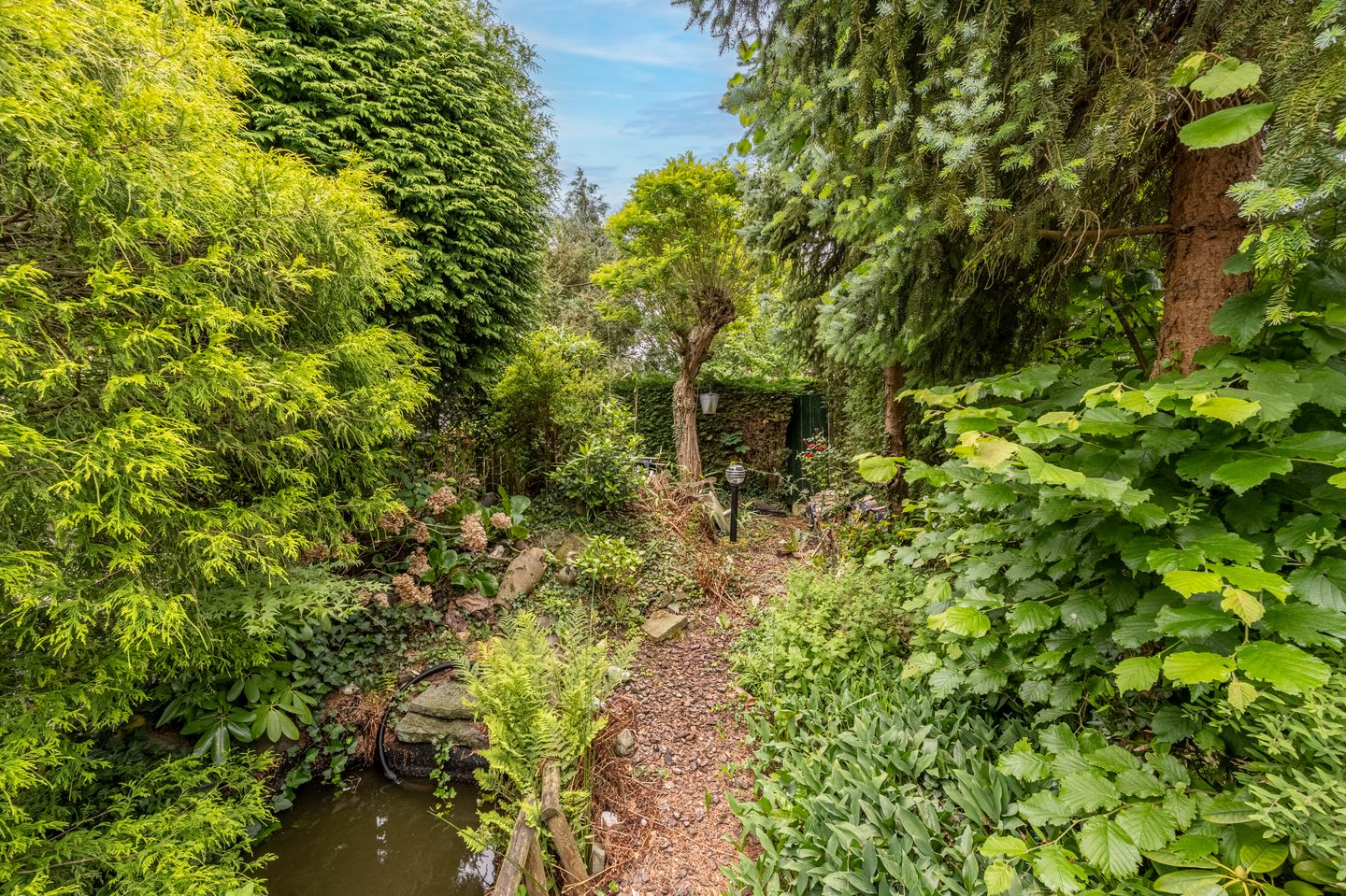 Foto 25 van Aveling 29