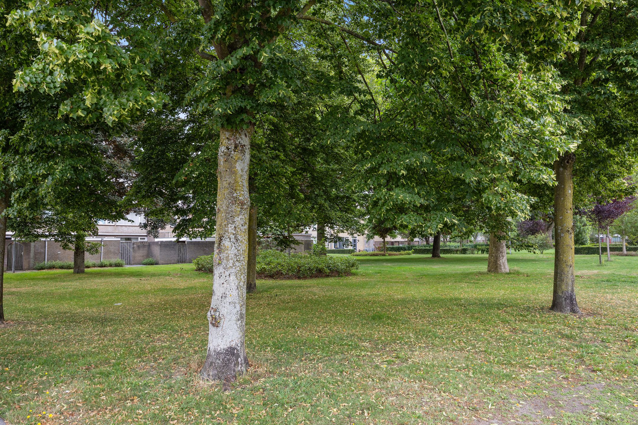 Foto 33 van Mr. Sprenger van Eykstraat 2