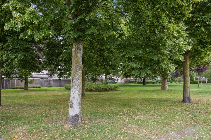 Photo 33 of Mr. Sprenger van Eykstraat 2