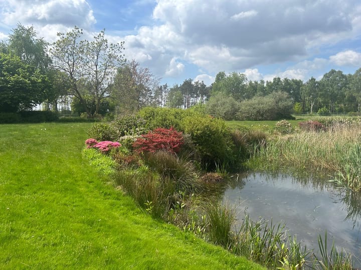 Foto 47 van Rustvenseweg 16