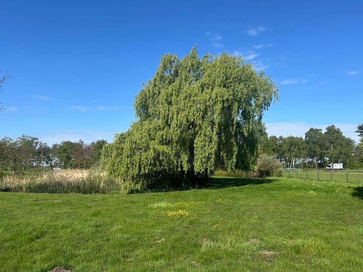 Foto 49 van Rustvenseweg 16