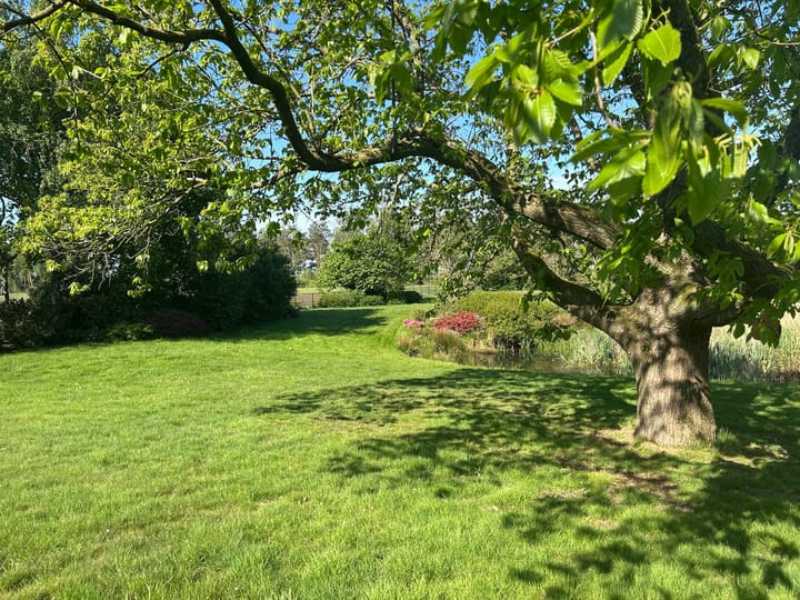 Foto 50 van Rustvenseweg 16