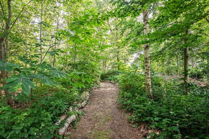 Foto 55 van Rustvenseweg 16