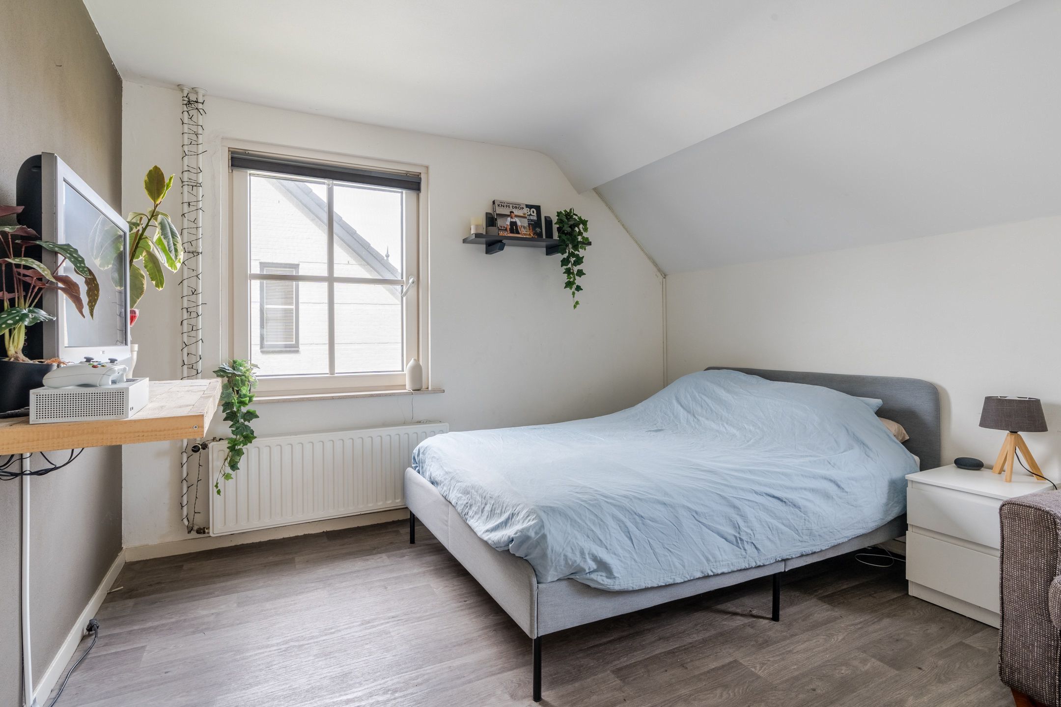 Photo 21 of Frans van Nunenstraat 19