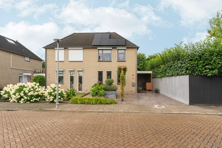 Foto 5 van Goudreinet 9