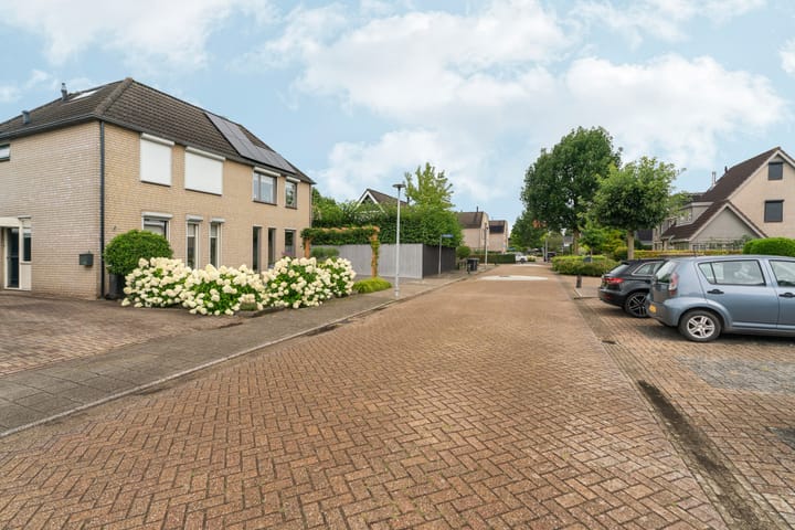 Foto 58 van Goudreinet 9