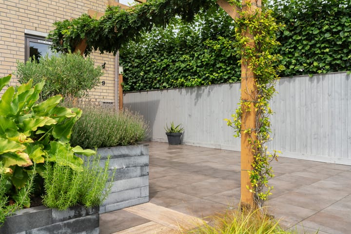 Foto 59 van Goudreinet 9