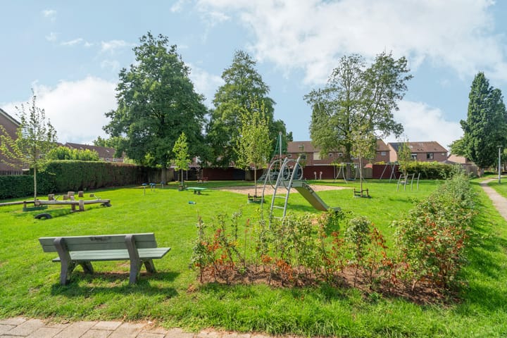 Foto 62 van Goudreinet 9