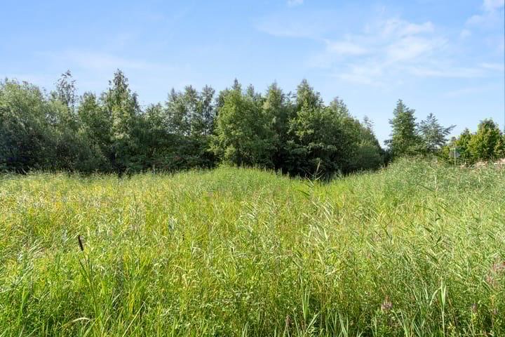 Foto 28 van Puccinistraat 2