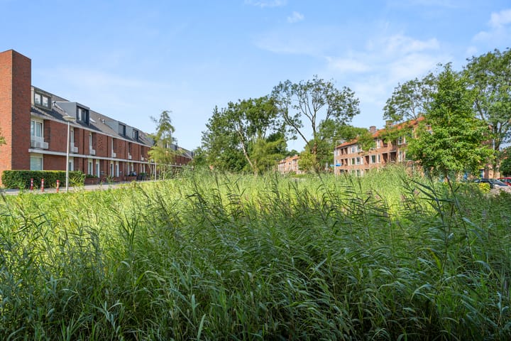 Foto 39 van Puccinistraat 2