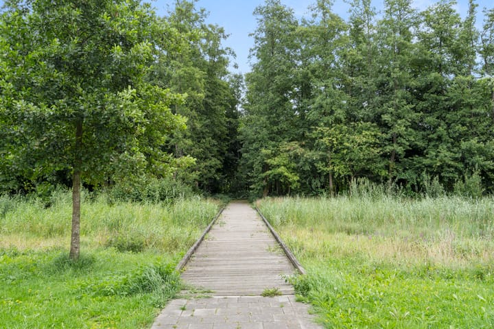 Foto 40 van Puccinistraat 2