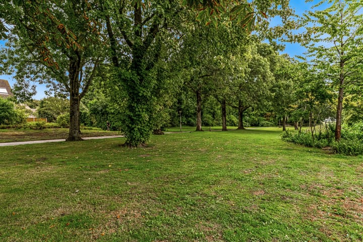 Foto 38 van Smelegras 8