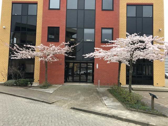 Oslo 8, Barendrecht