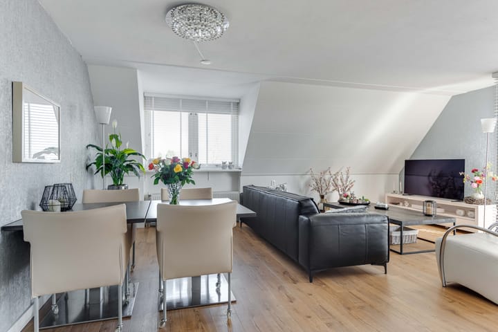 Foto 2 van Dorsvlegel 42