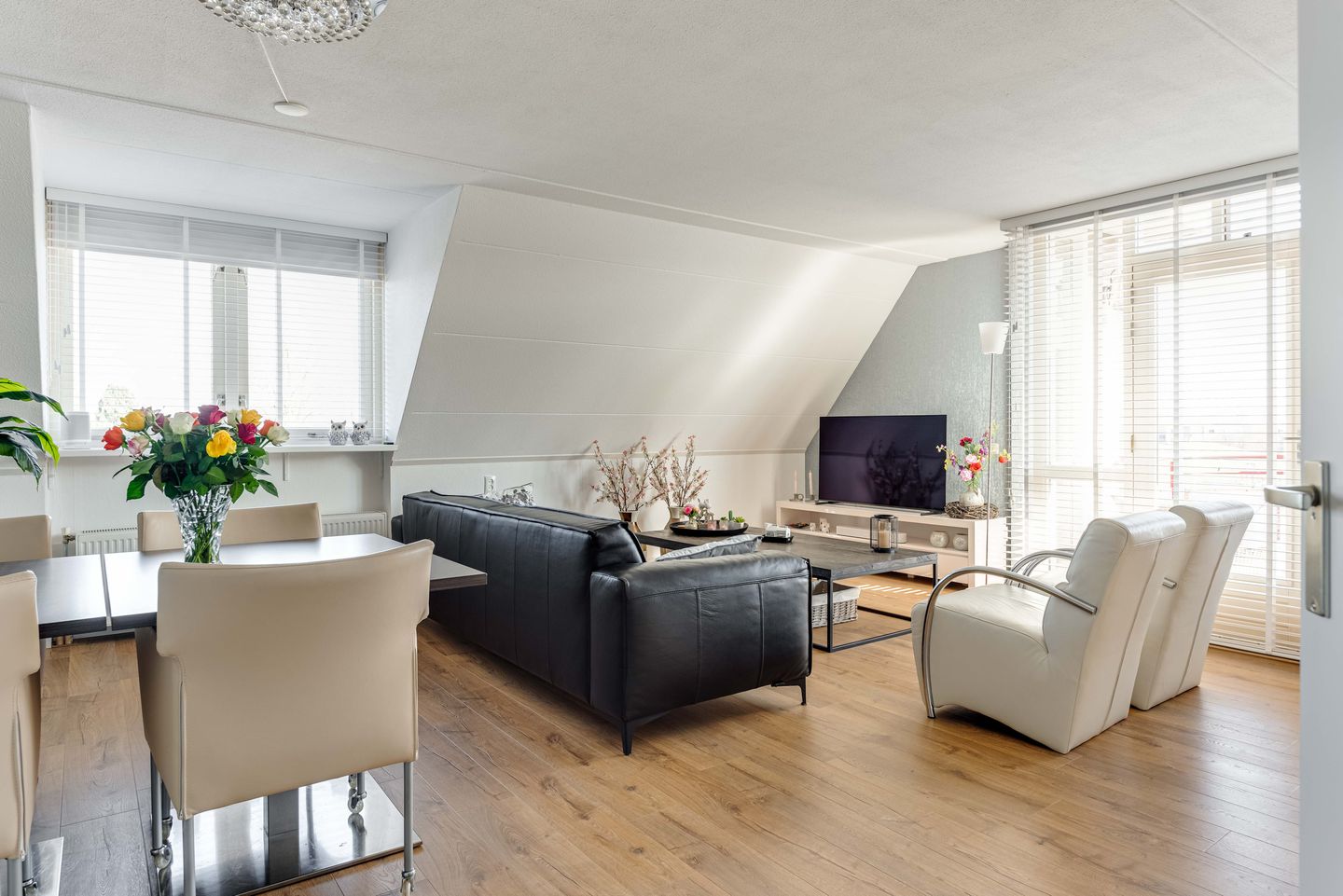 Foto 5 van Dorsvlegel 42