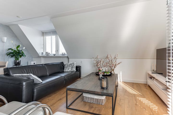 Foto 8 van Dorsvlegel 42