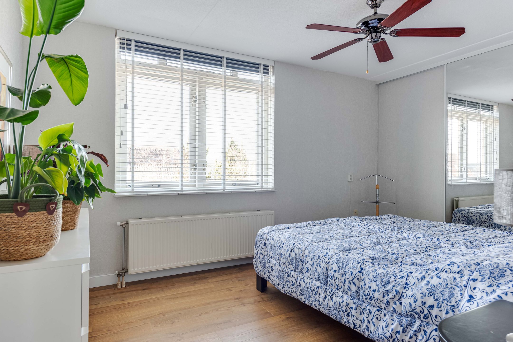 Foto 24 van Dorsvlegel 42