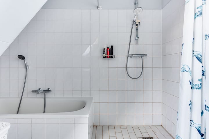 Foto 28 van Dorsvlegel 42