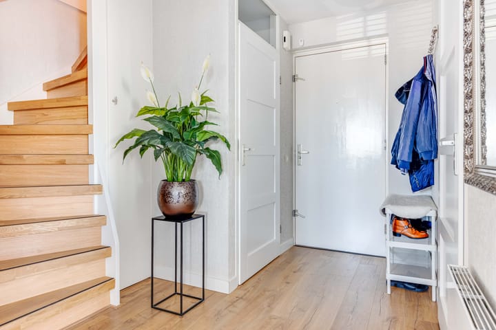 Foto 31 van Dorsvlegel 42