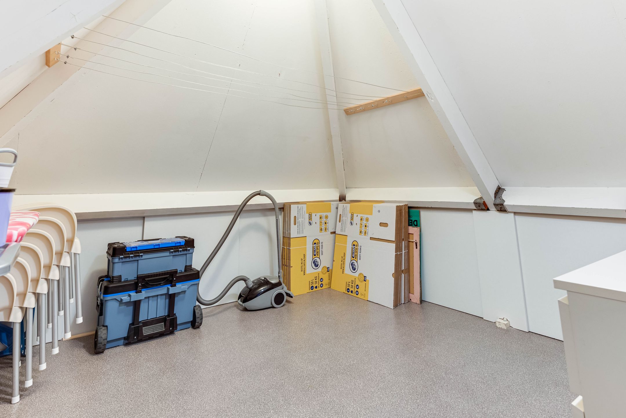 Foto 36 van Dorsvlegel 42