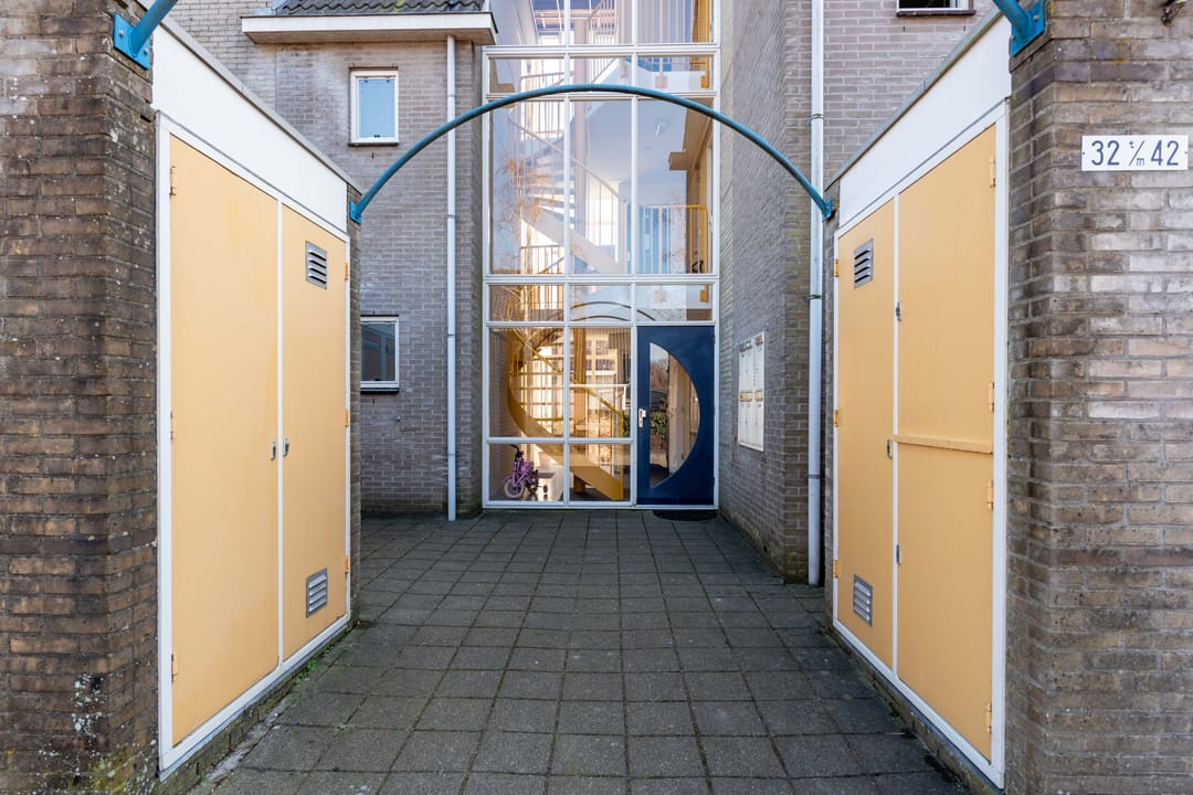 Foto 37 van Dorsvlegel 42