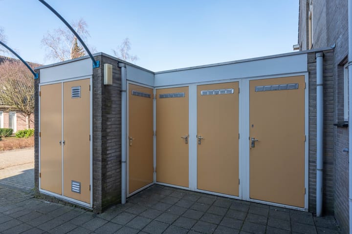 Foto 38 van Dorsvlegel 42