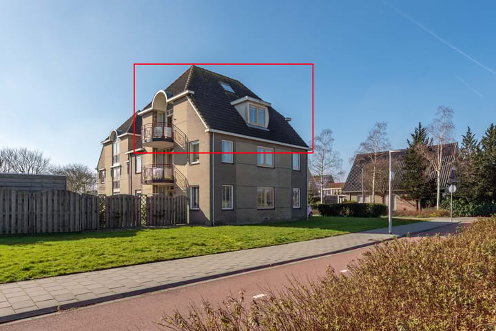 Foto 41 van Dorsvlegel 42