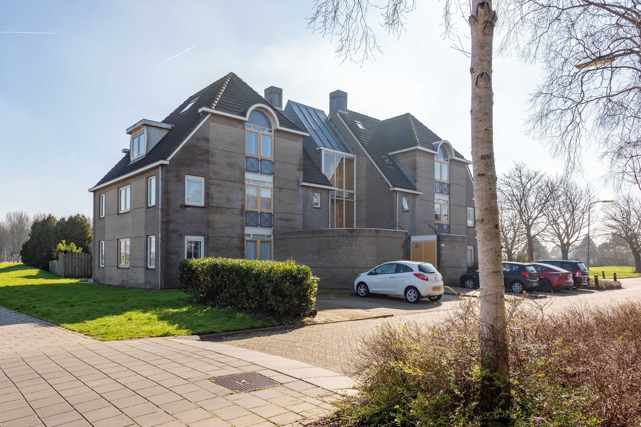 Foto 42 van Dorsvlegel 42