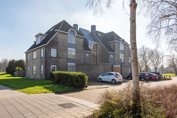 Foto 42 van Dorsvlegel 42