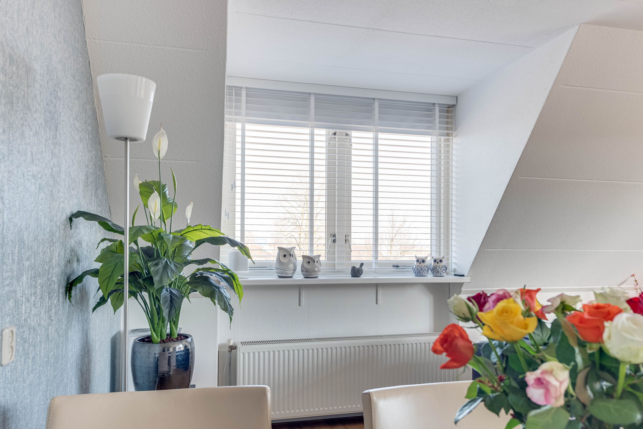 Foto 18 van Dorsvlegel 42