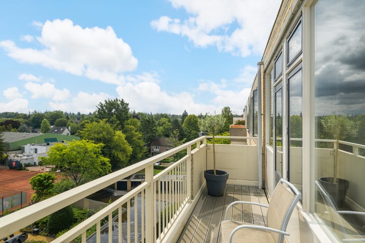 Foto 3 van Verdilaan 55