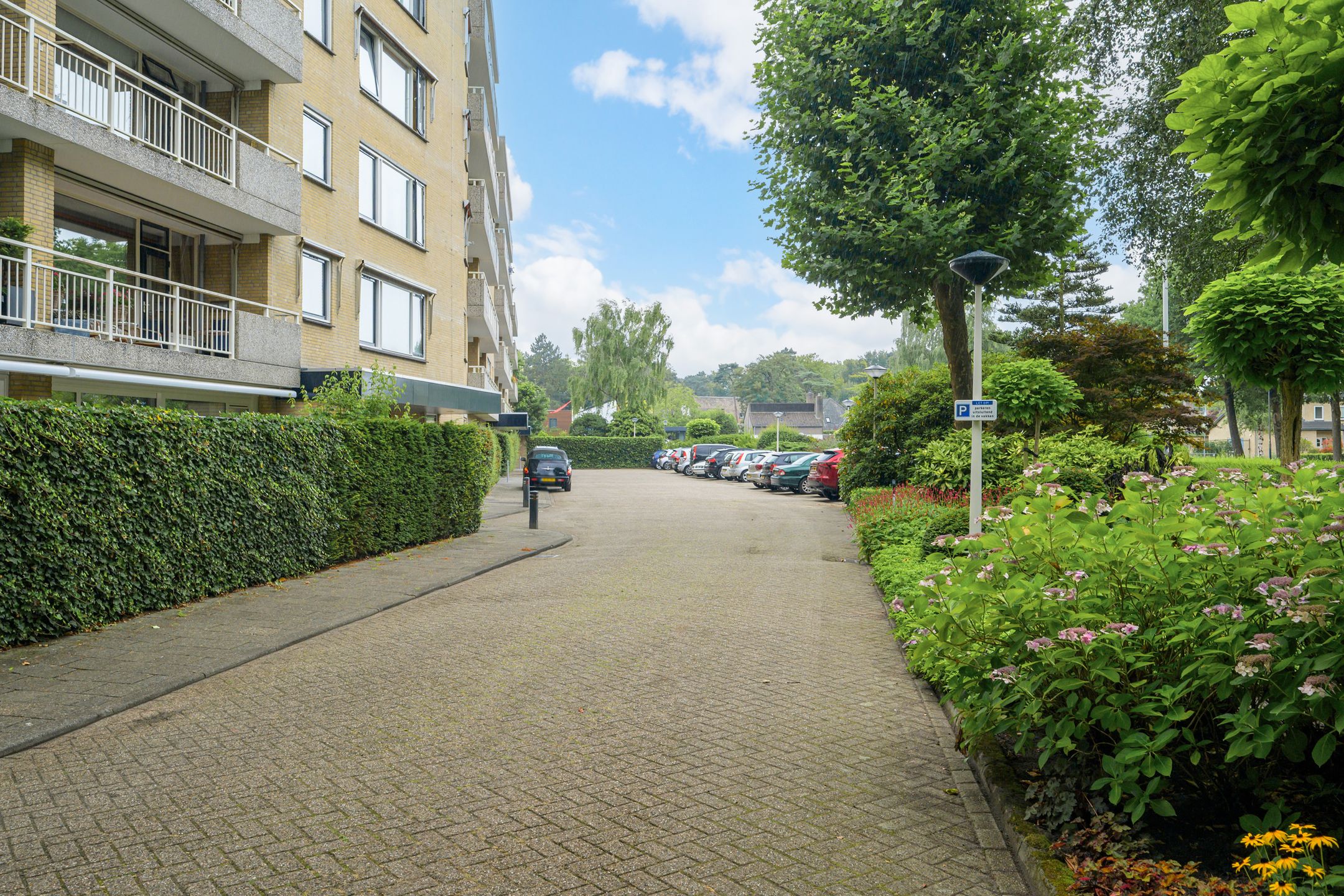 Foto 6 van Verdilaan 55