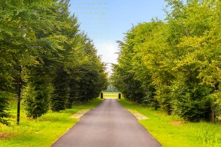 Foto 3 van 't Maetland 7