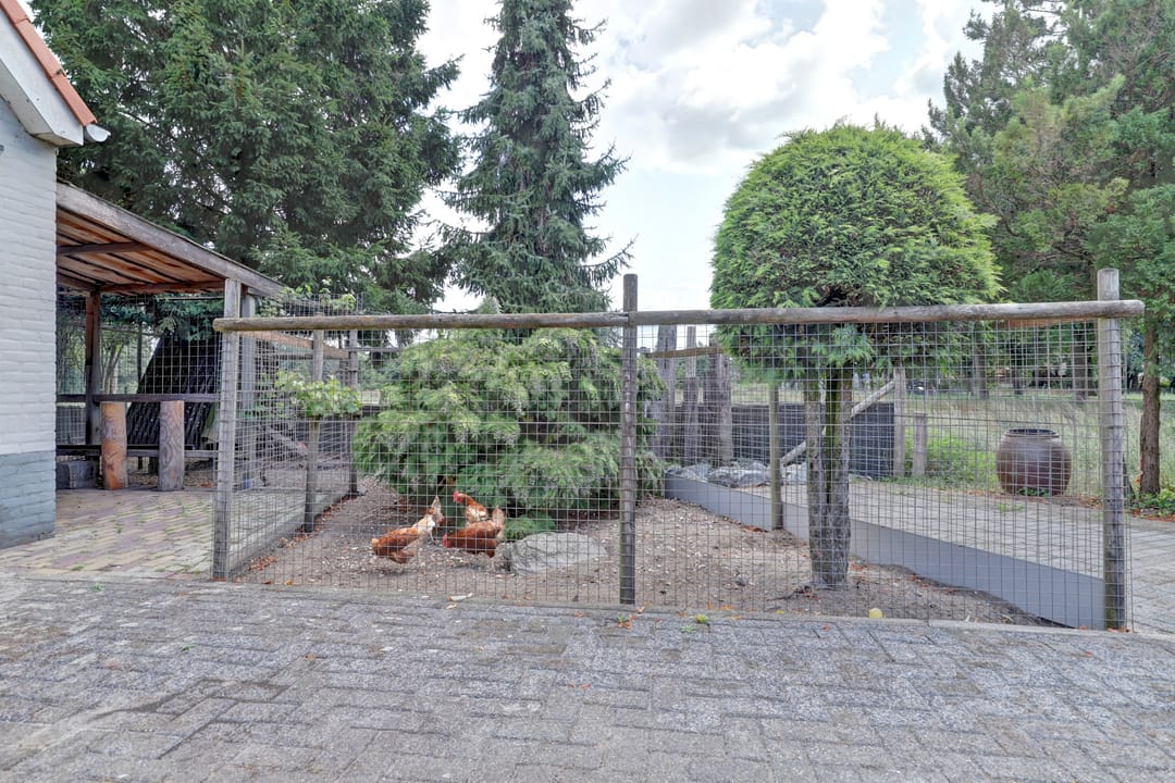 Foto 53 van Oosterweg 209