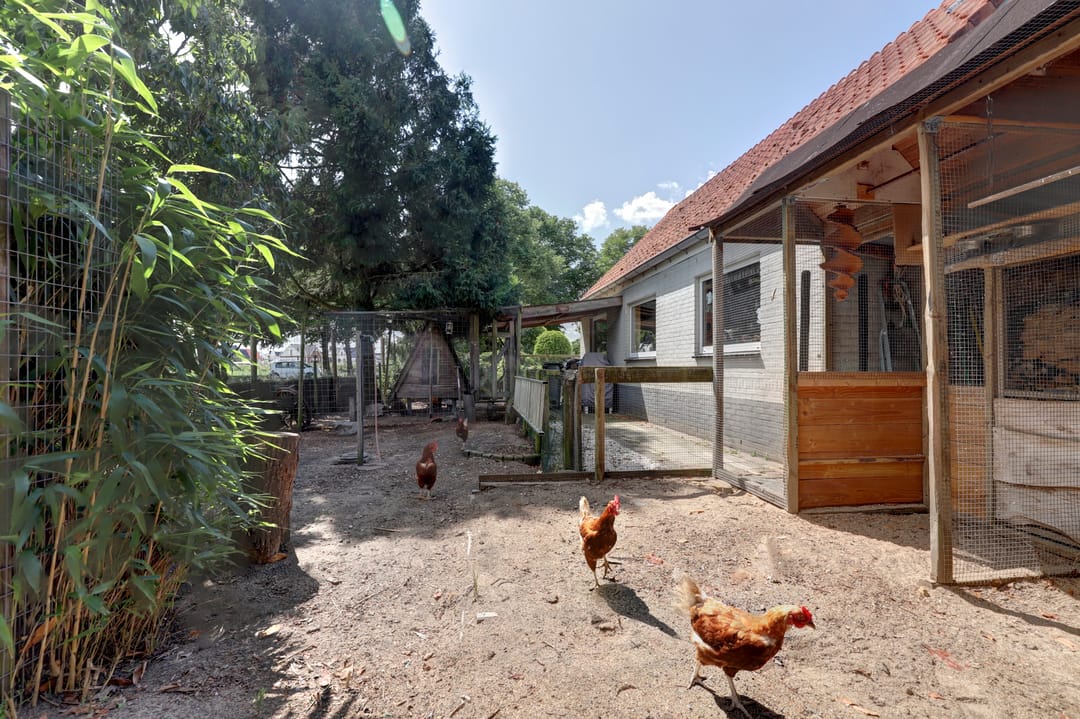 Foto 56 van Oosterweg 209