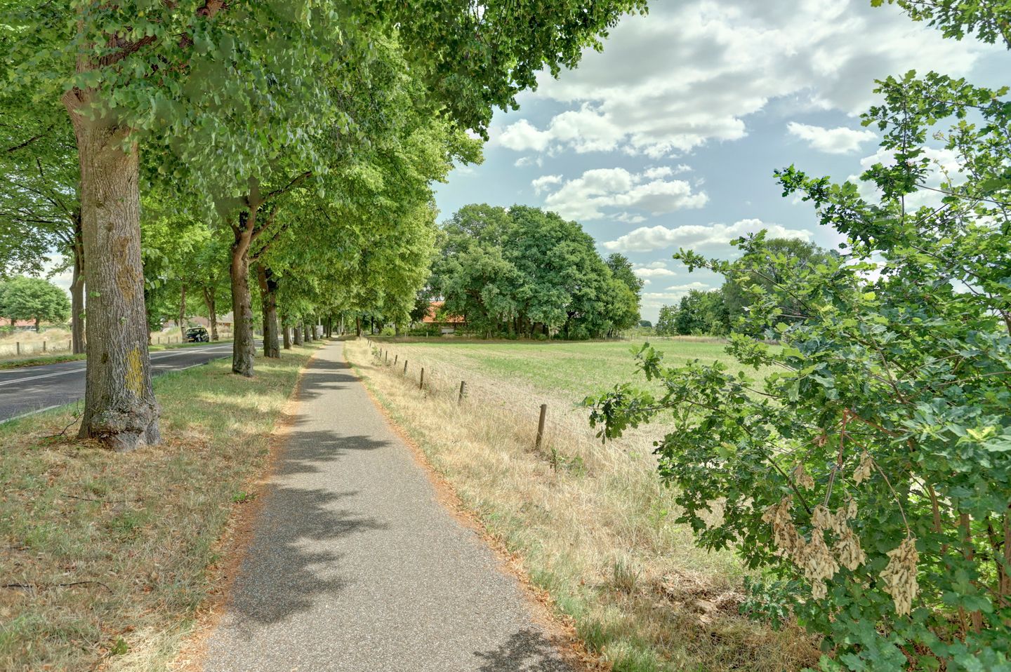 Foto 59 van Oosterweg 209