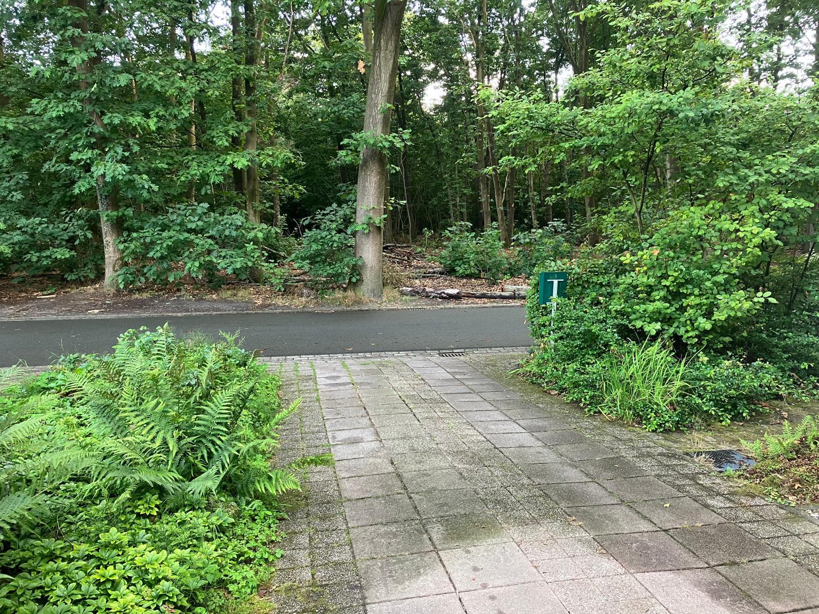 Foto 45 van Rode Heikorstlaan 22