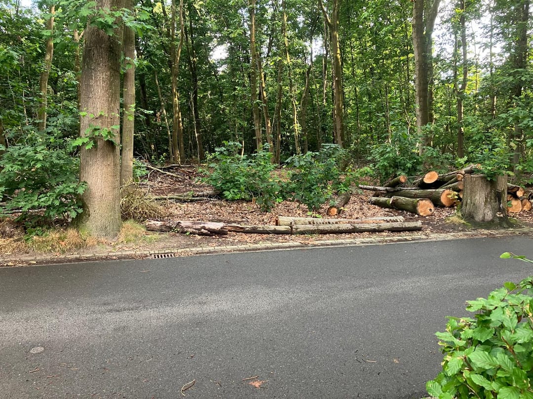 Foto 46 van Rode Heikorstlaan 22