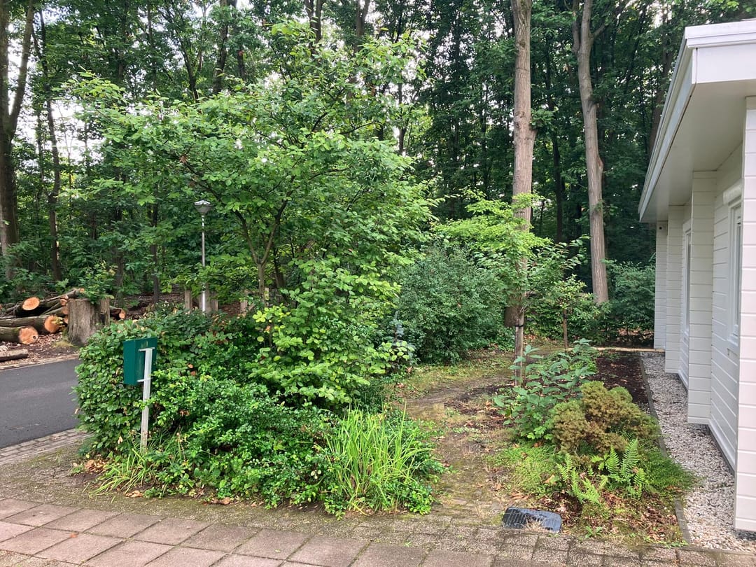 Foto 47 van Rode Heikorstlaan 22