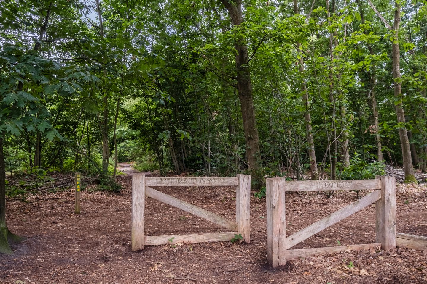 Foto 50 van Rode Heikorstlaan 22